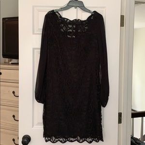 NWT-lace dress with sheer sleeves